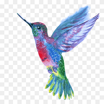 Hummingbird, Beak, Wing, Rufous Hummingbird, Bird, Hummingbird, Beak png thumbnail