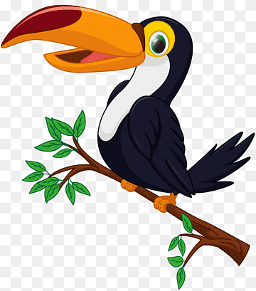 Hornbill Bird, Toucan, Cartoon, Beak, Wing, Coraciiformes, Piciformes, Branch, Bird, Toucan,  Cartoon png thumbnail