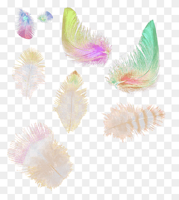 3d, Grafikkprogramvare, Dataprogramvare, Datagrafikk, Rastergrafikk, Fjær, Dataprogram, 3D Datagrafikk, 3D datamaskin grafikk, datamaskin, data-grafikk png thumbnail
